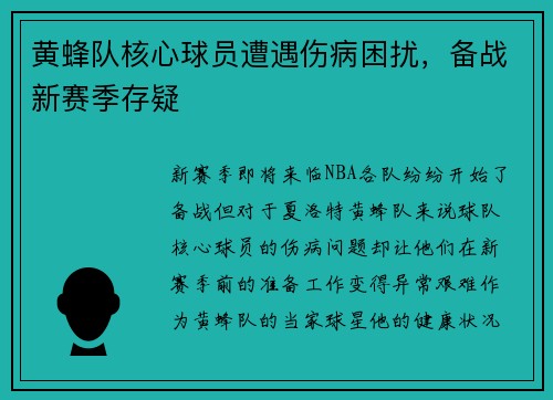 黄蜂队核心球员遭遇伤病困扰，备战新赛季存疑